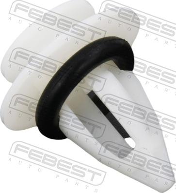 Febest 88570-178 - Moldings / aizsarguzlika www.autospares.lv