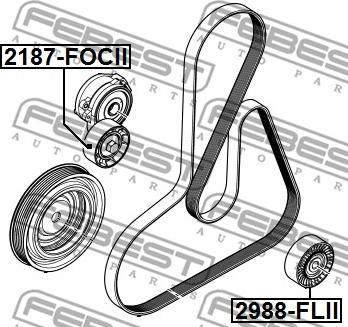 Febest 2988-FLII - Parazīt / Vadrullītis, Ķīļrievu siksna www.autospares.lv