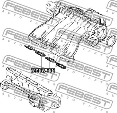 Febest 24402-001 - Blīve, Ieplūdes kolektors www.autospares.lv