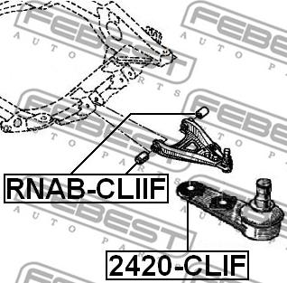 Febest 2420-CLIF - Balst / Virzošais šarnīrs www.autospares.lv