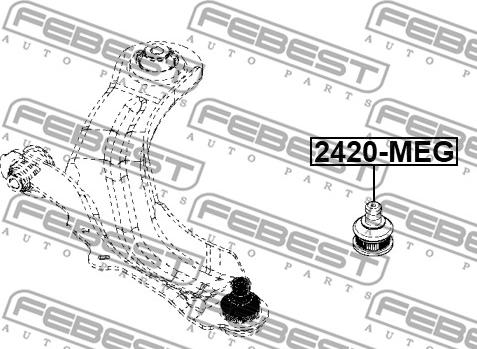 Febest 2420-MEG - Balst / Virzošais šarnīrs www.autospares.lv