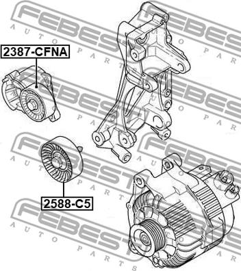 Febest 2588-C5 - Parazīt / Vadrullītis, Ķīļrievu siksna www.autospares.lv