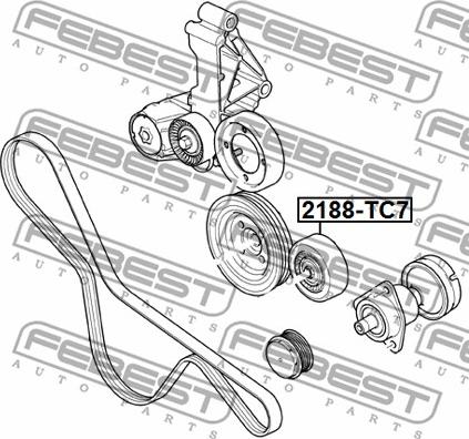 Febest 2188-TC7 - Parazīt / Vadrullītis, Ķīļrievu siksna autospares.lv