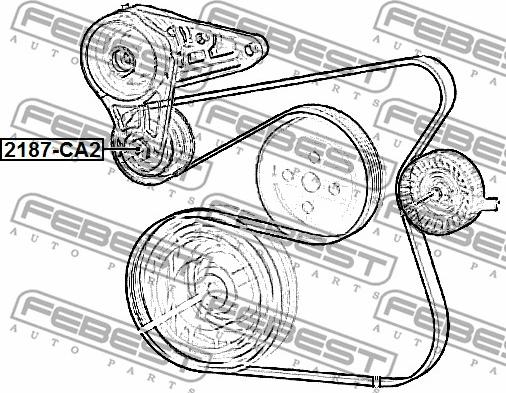 Febest 2187-CA2 - Parazīt / Vadrullītis, Ķīļrievu siksna www.autospares.lv