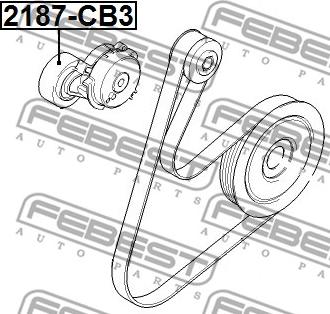 Febest 2187-CB3 - Pulley, v-ribbed belt www.autospares.lv