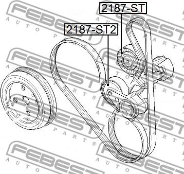 Febest 2187-ST2 - Parazīt / Vadrullītis, Ķīļrievu siksna www.autospares.lv