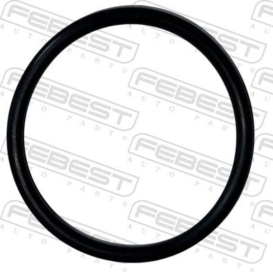 Febest 23400-006 - Blīve, Dzesēšanas šķidruma flancis www.autospares.lv