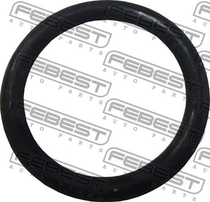 Febest 23400-001 - Blīve, Eļļas sūknis www.autospares.lv