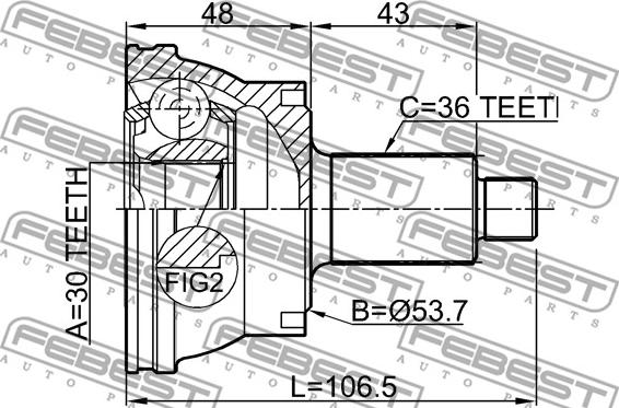 Febest 2310-036 - Joint Kit, drive shaft www.autospares.lv