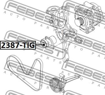 Febest 2387-TIG - Parazīt / Vadrullītis, Ķīļrievu siksna www.autospares.lv