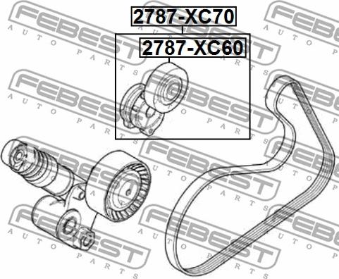 Febest 2790-XC70 - Siksnas spriegotājs, Ķīļsiksna www.autospares.lv