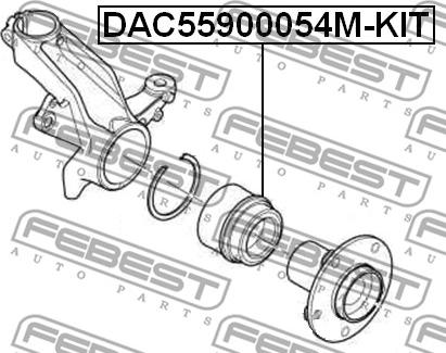 Febest DAC55900054M-KIT - Riteņa rumbas gultņa komplekts www.autospares.lv