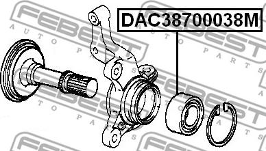 Febest DAC38700038M - Riteņa rumbas gultnis www.autospares.lv