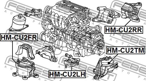 Febest HM-CU2LH - Piekare, Dzinējs www.autospares.lv