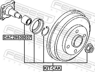 Febest KIT-CAK - Gultnis, Piedziņas vārpsta www.autospares.lv