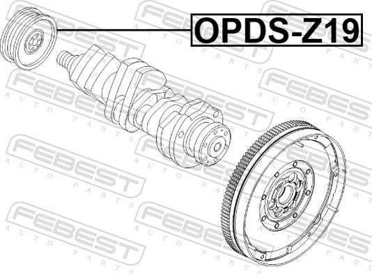 Febest OPDS-Z19 - Piedziņas skriemelis, Kloķvārpsta www.autospares.lv