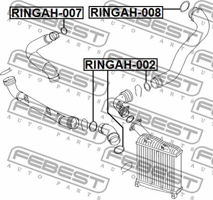 Febest RINGAH-007 - Blīvgredzens, Gaisa pūtes caurule www.autospares.lv