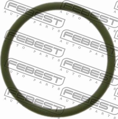 Febest RINGAH-B5 - Blīve, EGR vārsta cauruļvads www.autospares.lv