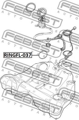 Febest RINGFL-037 - Blīve, Degvielas daudzuma devējs www.autospares.lv