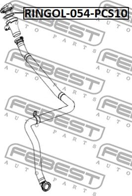 Febest RINGOL-054-PCS10 - Blīve, Eļļas ieliešanas kakliņš www.autospares.lv