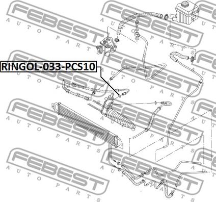 Febest RINGOL-033-PCS10 - Vārpstas blīvgredzens, Stūres pastiprinātāja sūknis www.autospares.lv