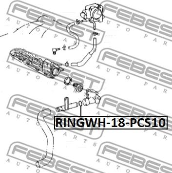 Febest RINGWH-018-PCS10 - Blīve, Dzesēšanas šķidruma flancis www.autospares.lv