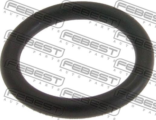 Febest SZCP-002 - Blīvgredzens, Sveces kanāls www.autospares.lv