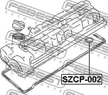 Febest SZCP-002 - Blīvgredzens, Sveces kanāls www.autospares.lv