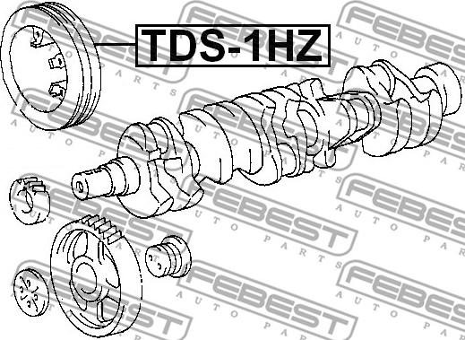 Febest TDS-1HZ - Piedziņas skriemelis, Kloķvārpsta www.autospares.lv