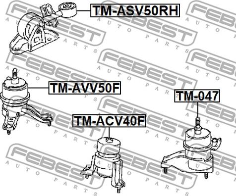 Febest TM-ASV50RH - Piekare, Dzinējs www.autospares.lv