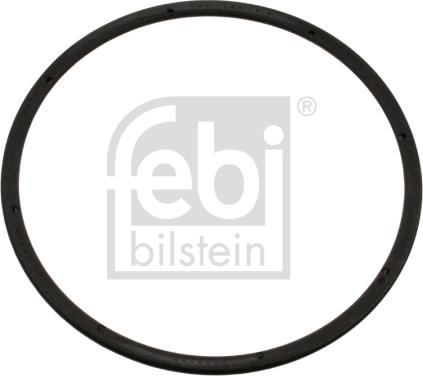 Febi Bilstein 45378 - Vārpstas blīvgredzens, Riteņa rumba www.autospares.lv