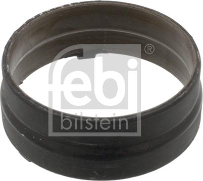 Febi Bilstein 46015 - Blīve, Diferenciālis www.autospares.lv