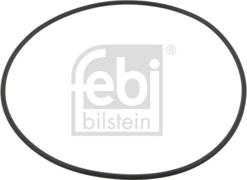 Febi Bilstein 09923 - Blīvgredzens, Riteņa rumba www.autospares.lv