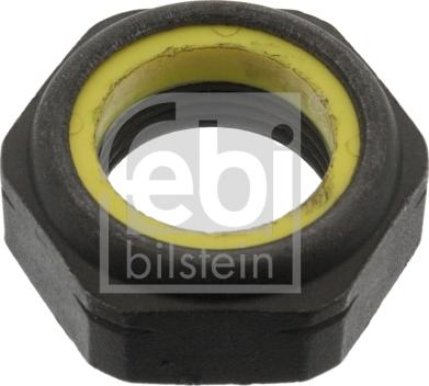 Febi Bilstein 06243 - Uzgrieznis, Ass kakliņš autospares.lv