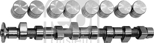 Febi Bilstein 03131 - Camshaft Kit www.autospares.lv