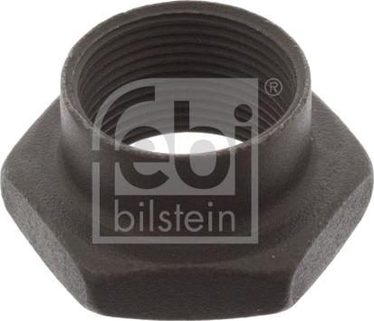 Febi Bilstein 02229 - Uzgrieznis, Ass kakliņš autospares.lv