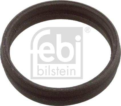 Febi Bilstein 106600 - Blīve, Eļļas sūknis www.autospares.lv