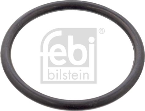 Febi Bilstein 101025 - Blīvgredzens, Grozāmass www.autospares.lv