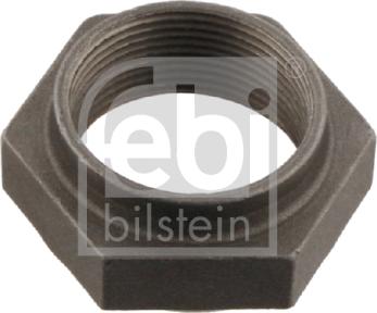 Febi Bilstein 10178 - Uzgrieznis, Ass kakliņš autospares.lv