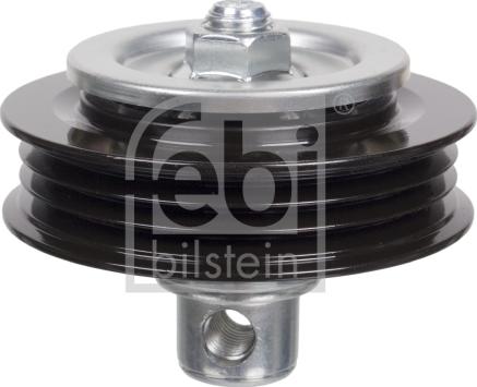 Febi Bilstein 102163 - Parazīt / Vadrullītis, Ķīļrievu siksna www.autospares.lv