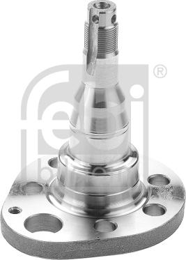 Febi Bilstein 18346 - Kingpin, axle beam www.autospares.lv