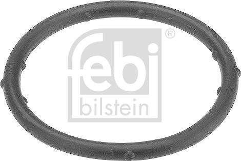 Febi Bilstein 18766 - Blīve, Dzesēšanas šķidruma flancis www.autospares.lv