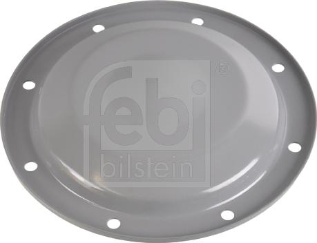 Febi Bilstein 171252 - Vāks, Riteņa rumbas gultnis www.autospares.lv