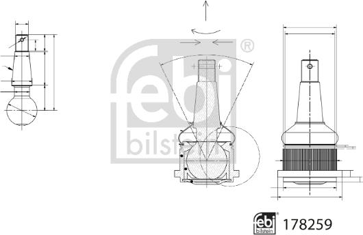 Febi Bilstein 178259 - Balst / Virzošais šarnīrs www.autospares.lv