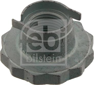 Febi Bilstein 30028 - Nut, stub axle www.autospares.lv