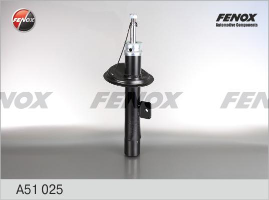 Fenox A51025 - Amortizators autospares.lv