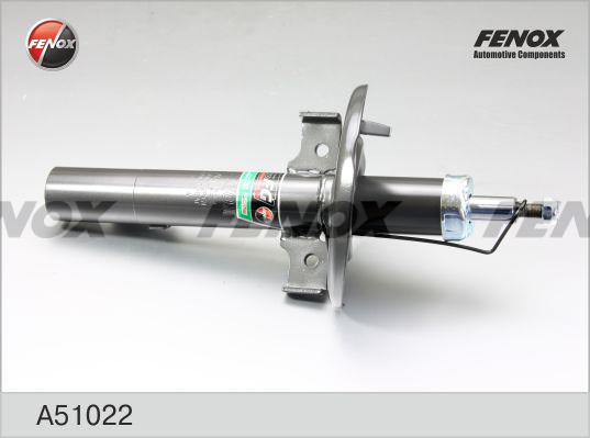 Fenox A51022 - Amortizators autospares.lv