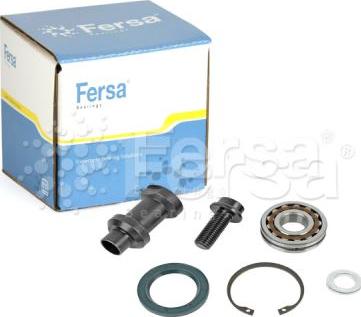 Fersa Bearings FSRK 001 - Riteņa rumbas gultnis www.autospares.lv