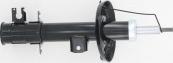 FI.BA FSA601 - Shock Absorber www.autospares.lv