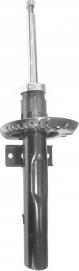 FI.BA FSA316 - Shock Absorber www.autospares.lv